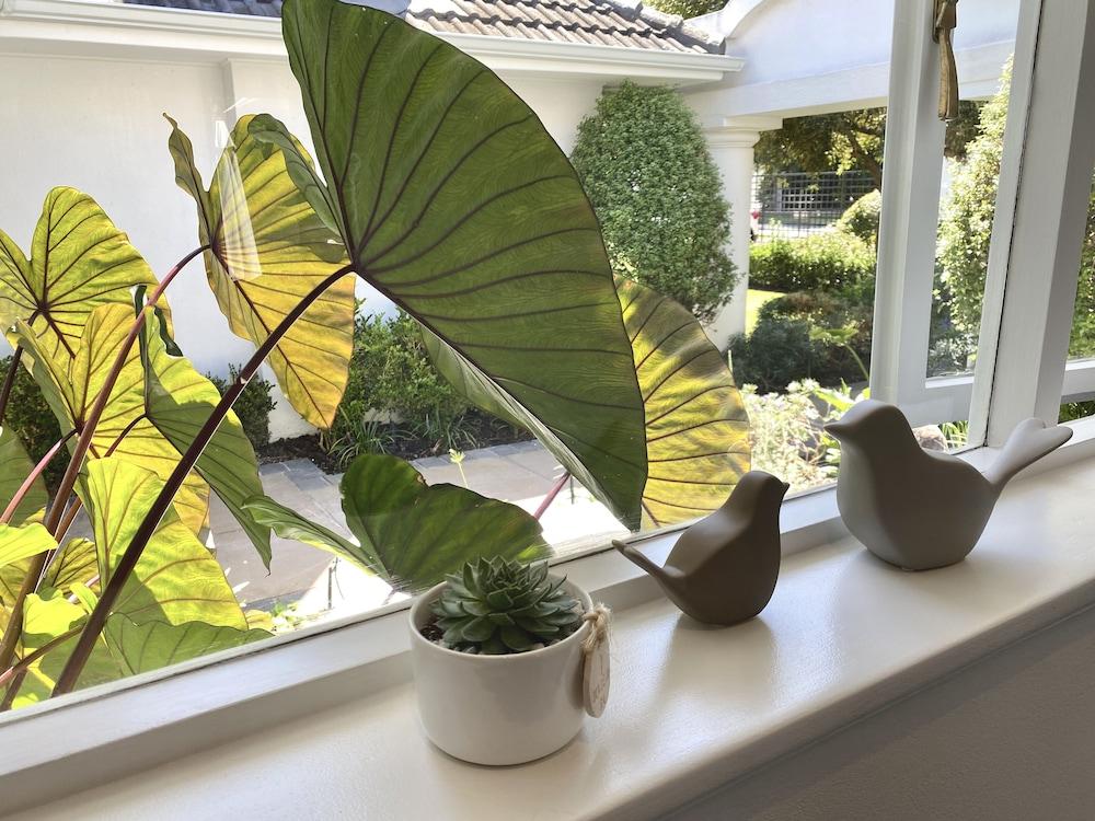 The Dongola Guesthouse Cape Town Ngoại thất bức ảnh